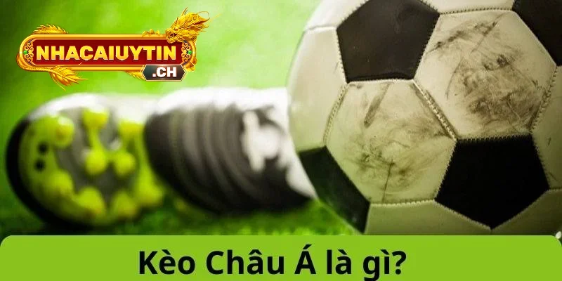 Mẹo Hay Giúp Bạn Tối Ưu Tỷ Lệ Thắng Với Kèo Chấp 1.25