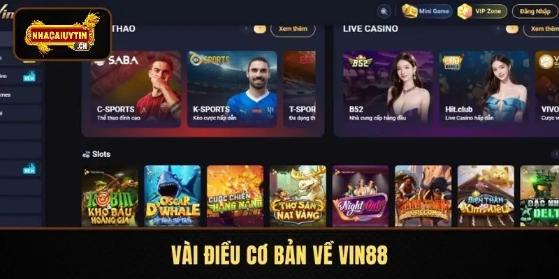 Vài điều cơ bản về VIN88